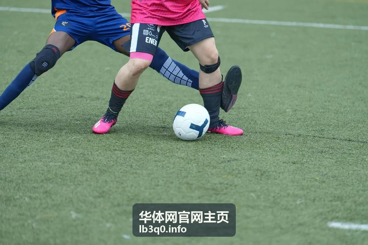 内容创作者使用体育资讯平台收集素材